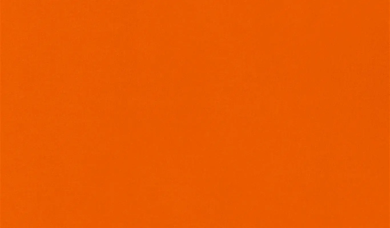 Apricot 02 | Renard