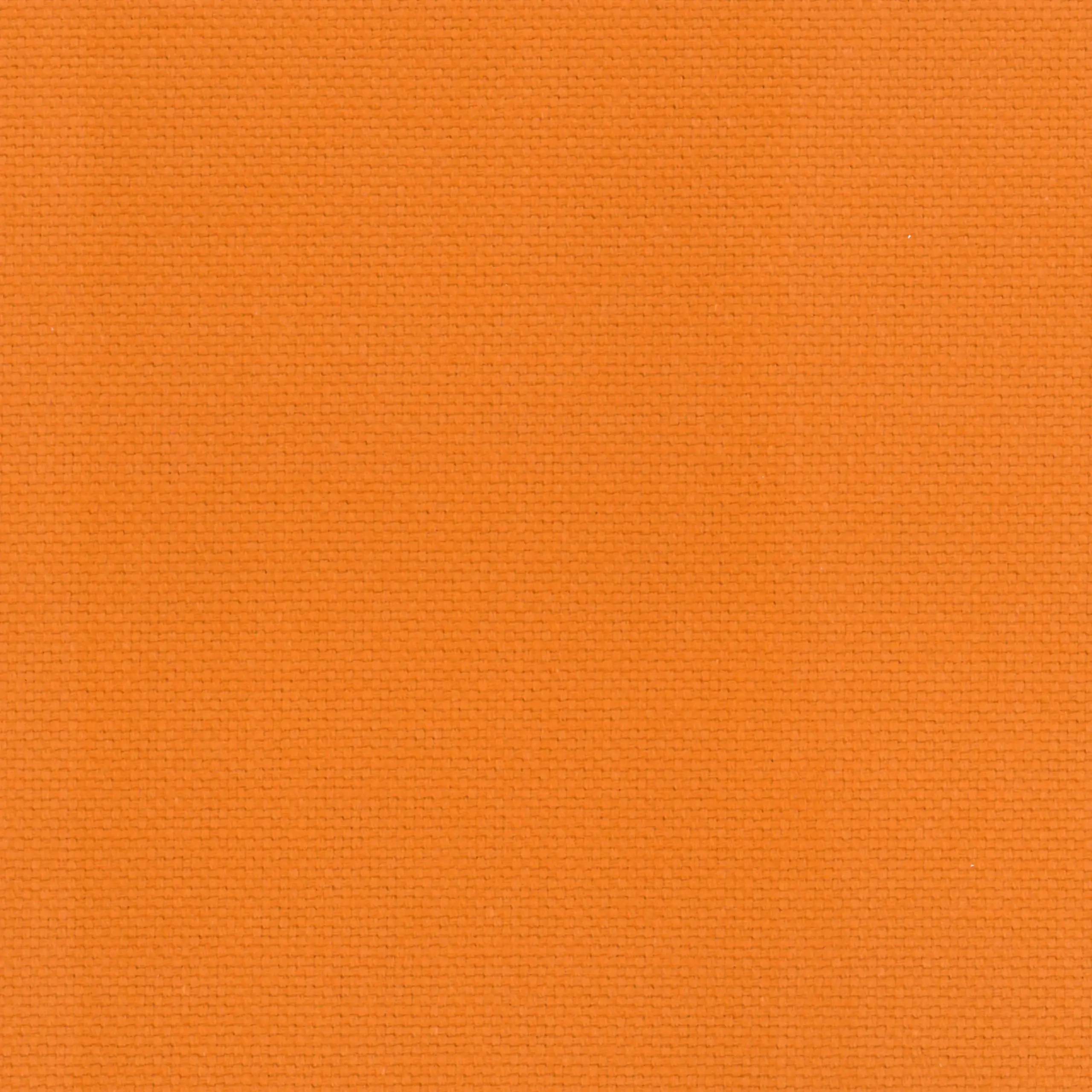 Topaz 31 | Ringo