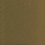 Otter 35 | Salome