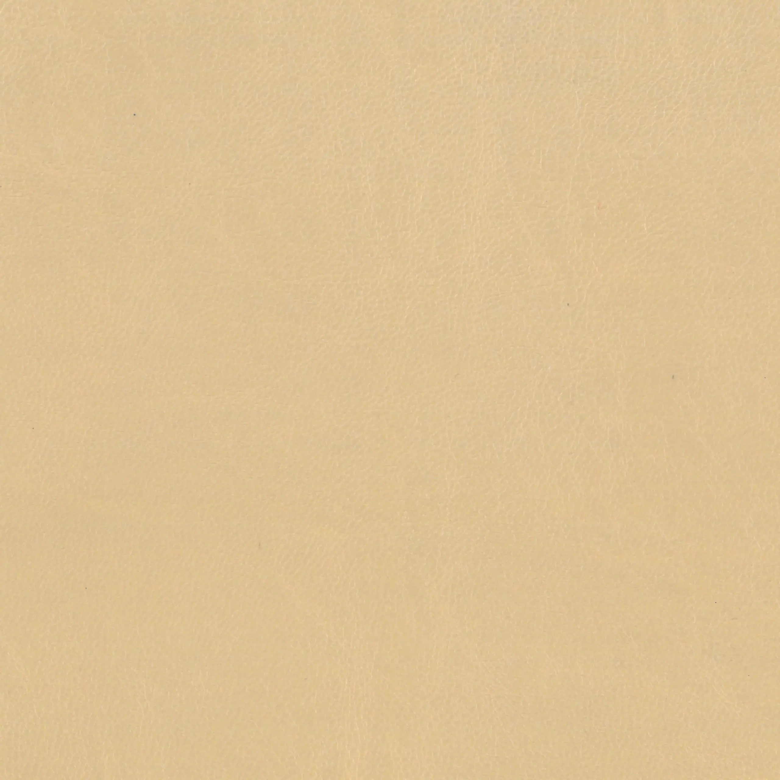 Nude 36 | Matrix FR