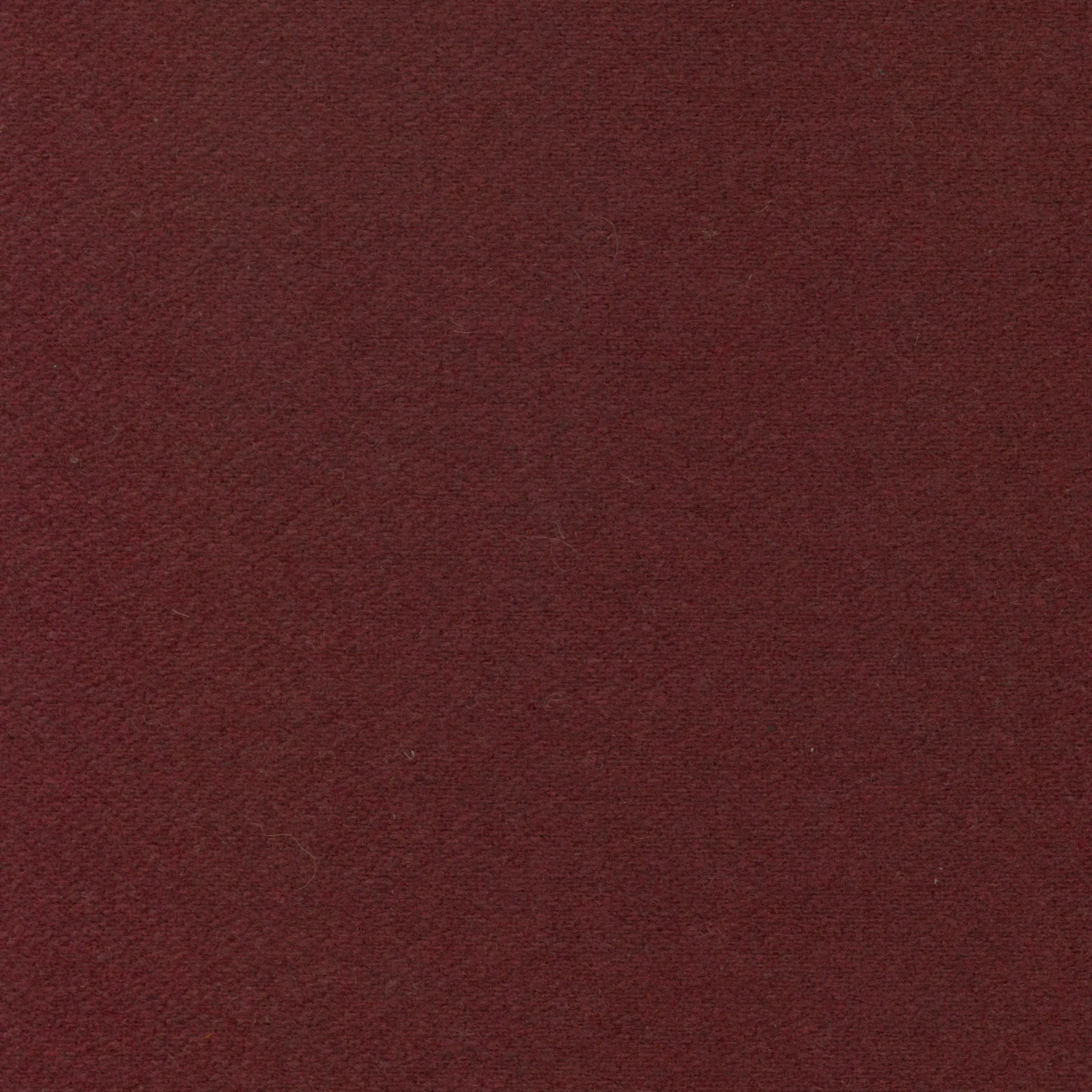 Burgundy 35 | Wool