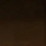 Brown 36 | Yaron
