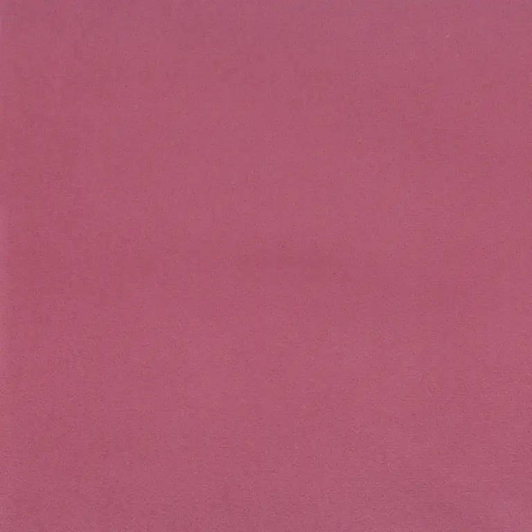 Sorbet 12