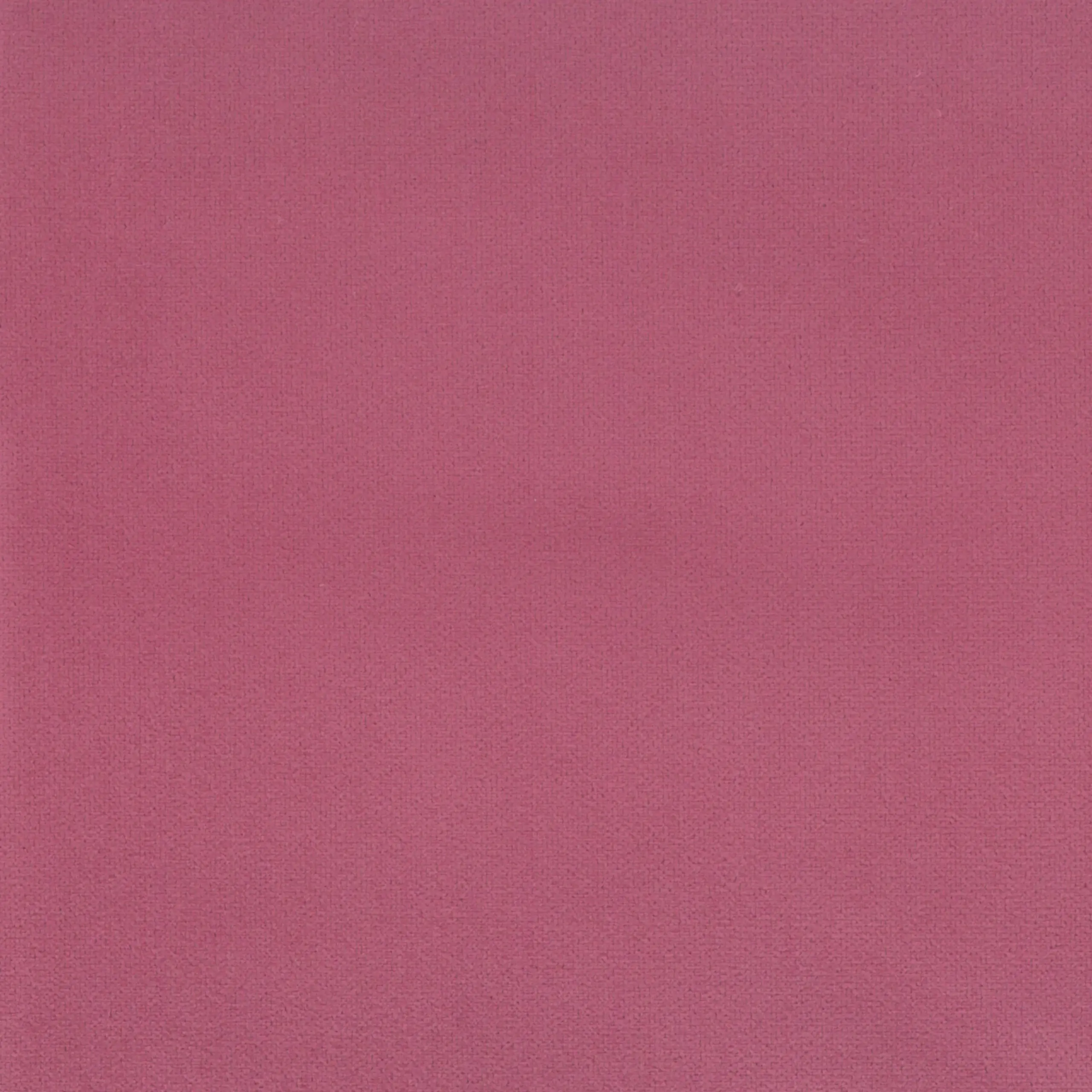 Sorbet 12 | Scot