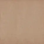 Sepia 067 | Speedo