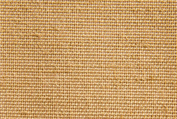 Color - Cream (C) | HORECA