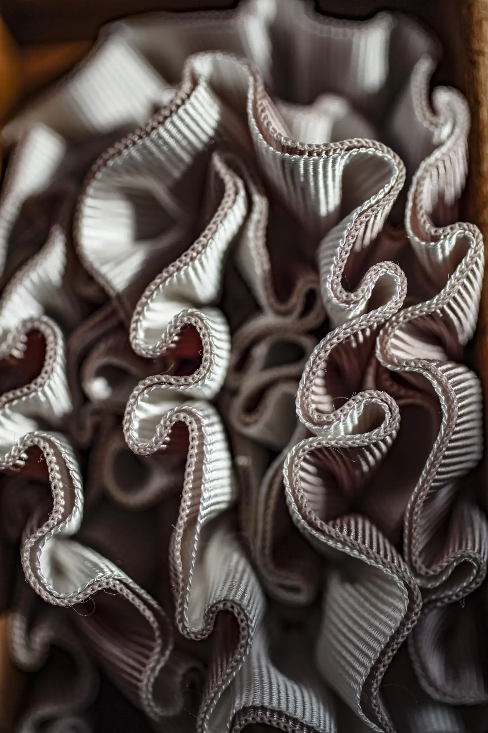 Lucido | Braids & Ribbons