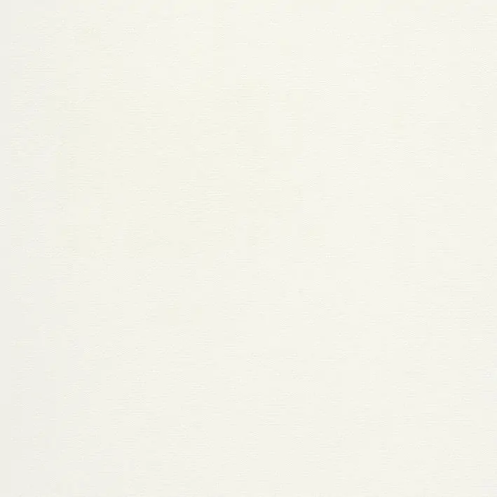 Snow 07 | Rainer