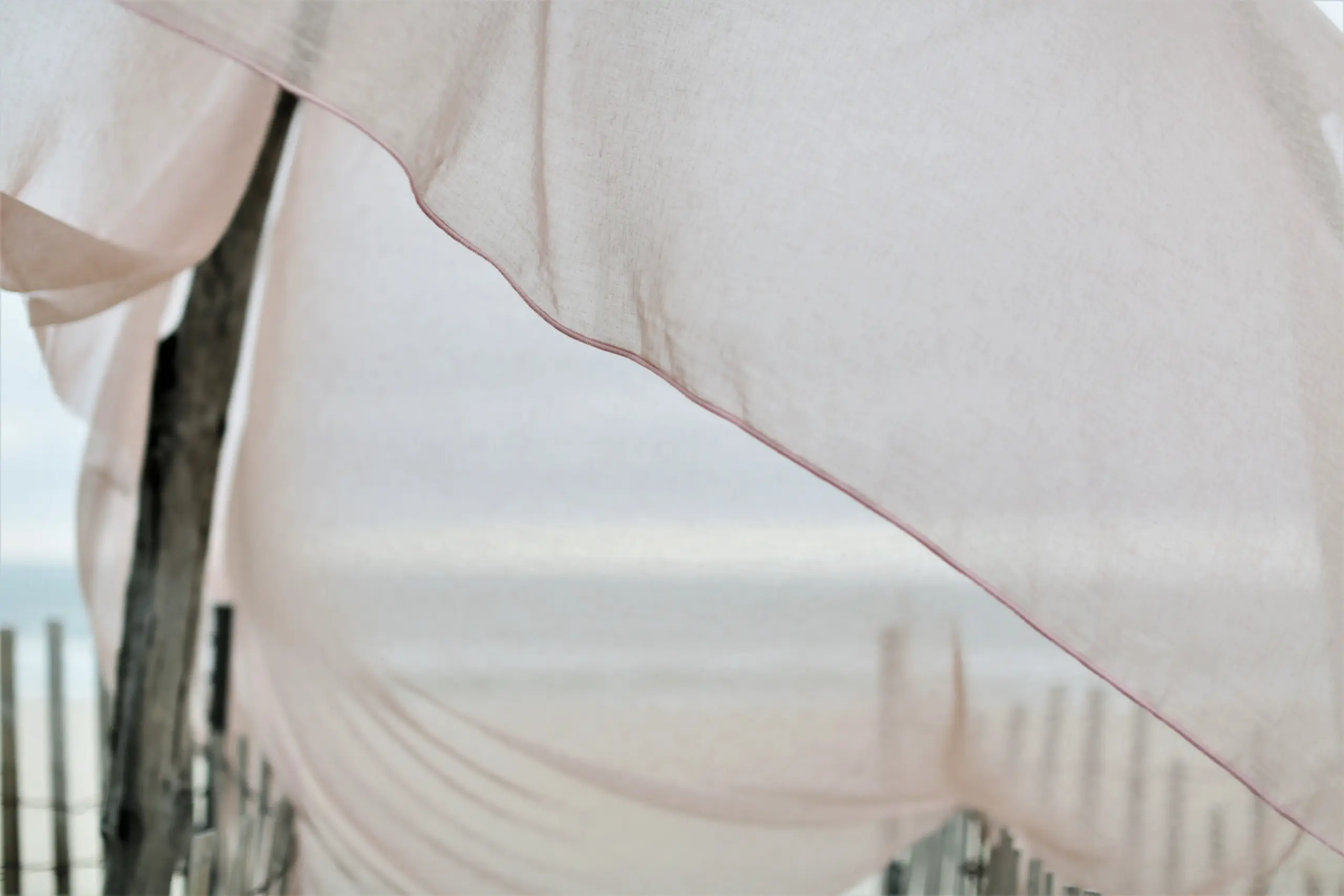 White 503 | Puro