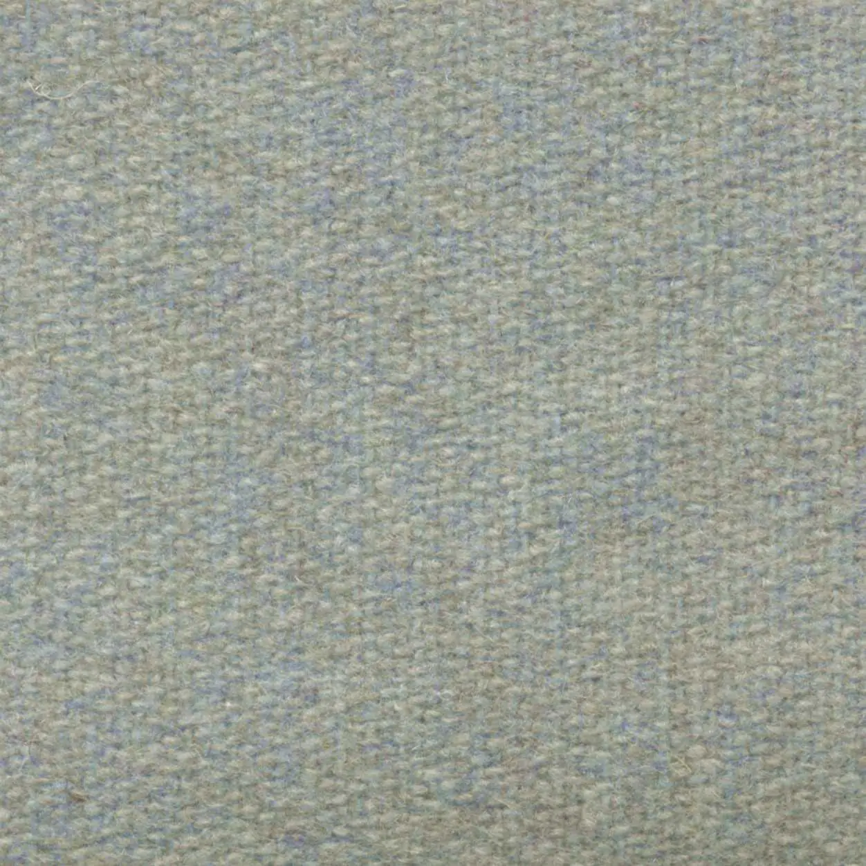 Petal 435 | Savoy FR