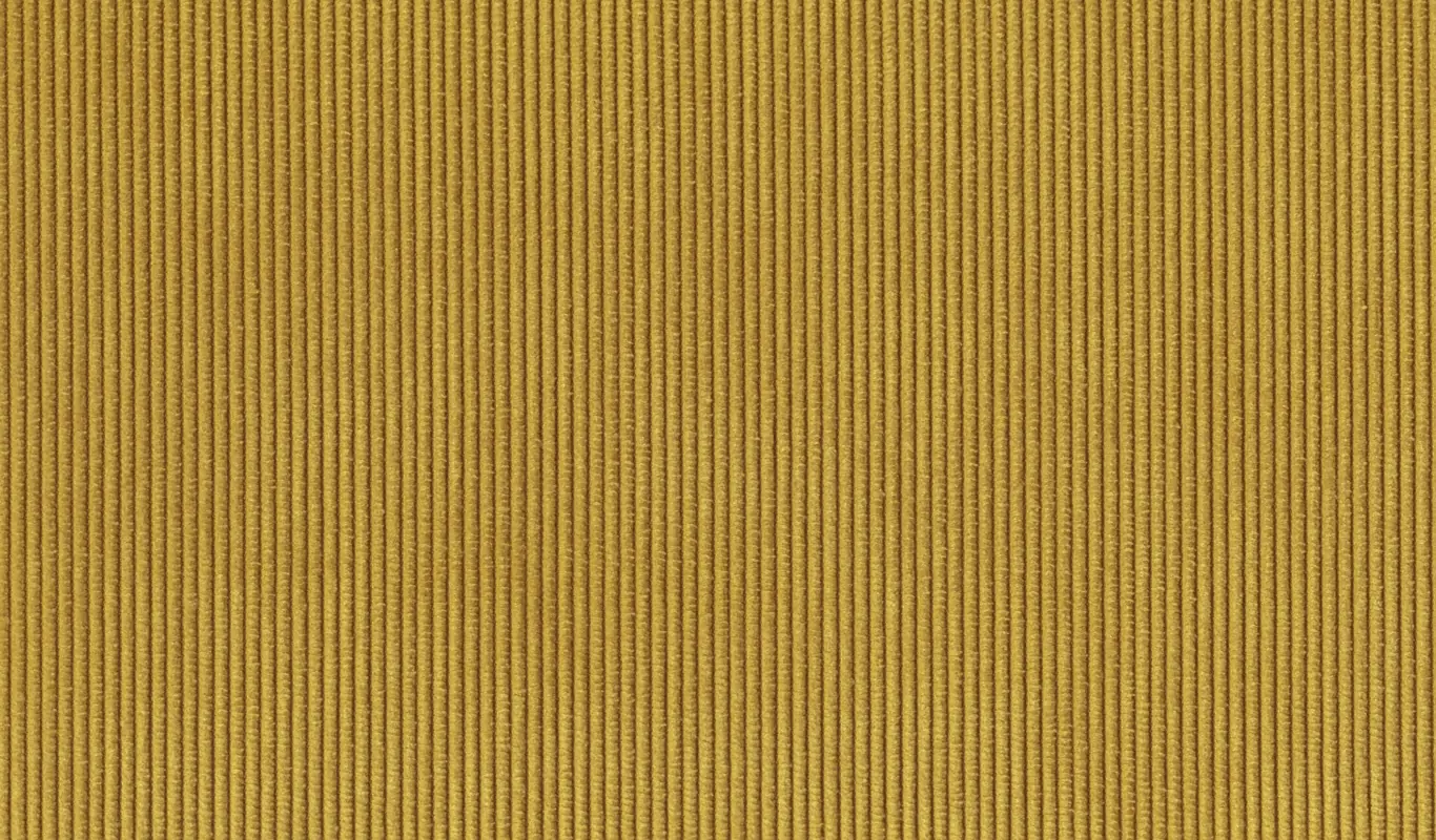 Goldenrod 20 | Velutto