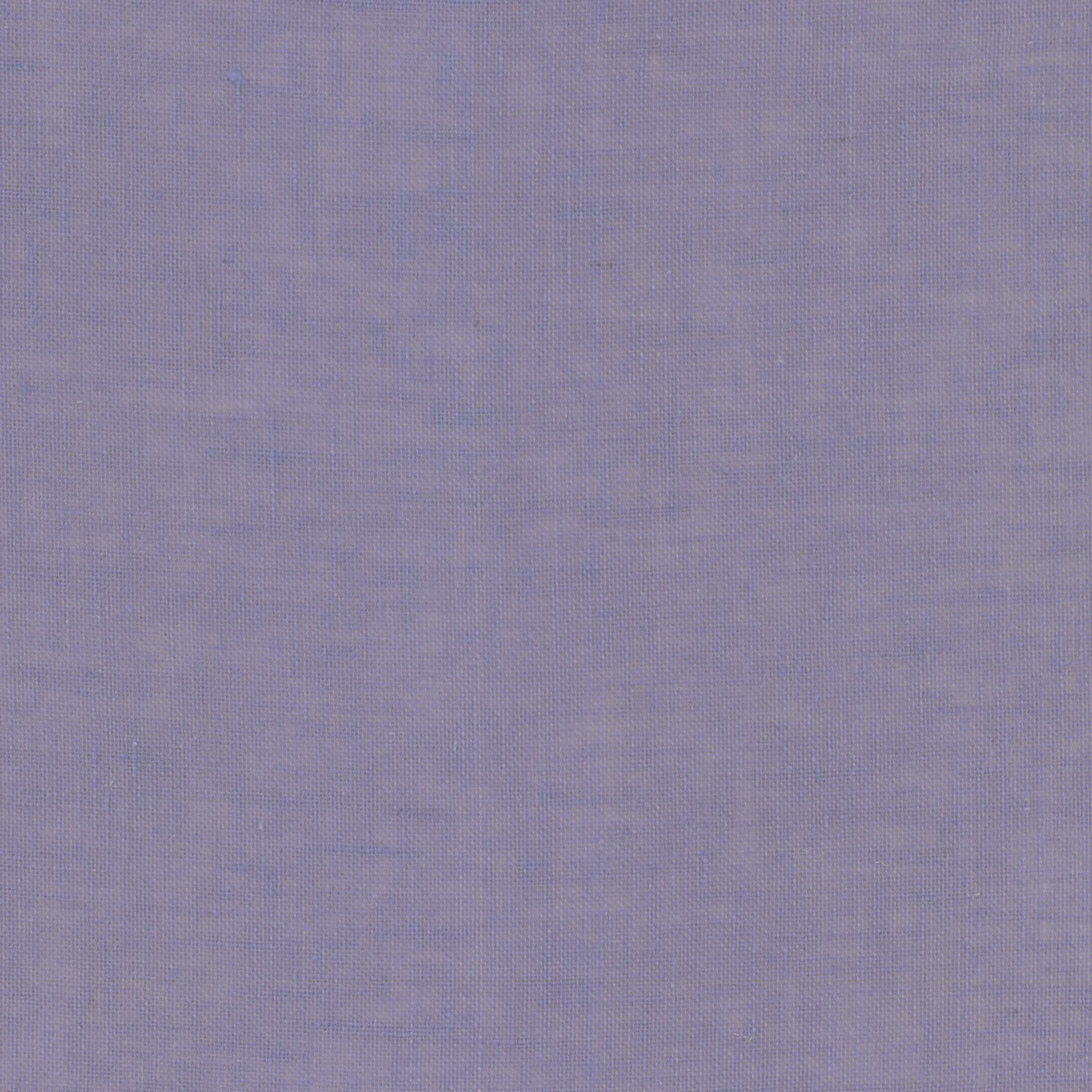 Lavender 23 | Livia