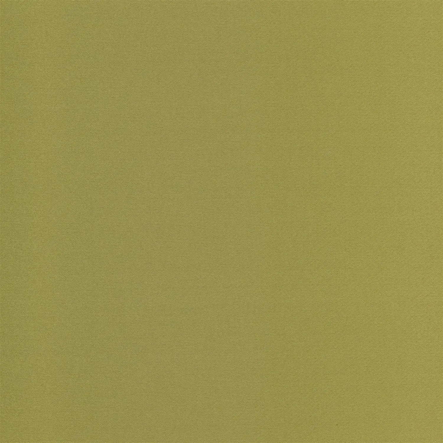 Moss 06 | Salome