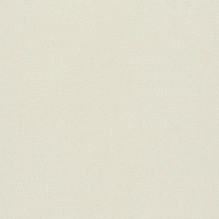 Snow 13 | Roger