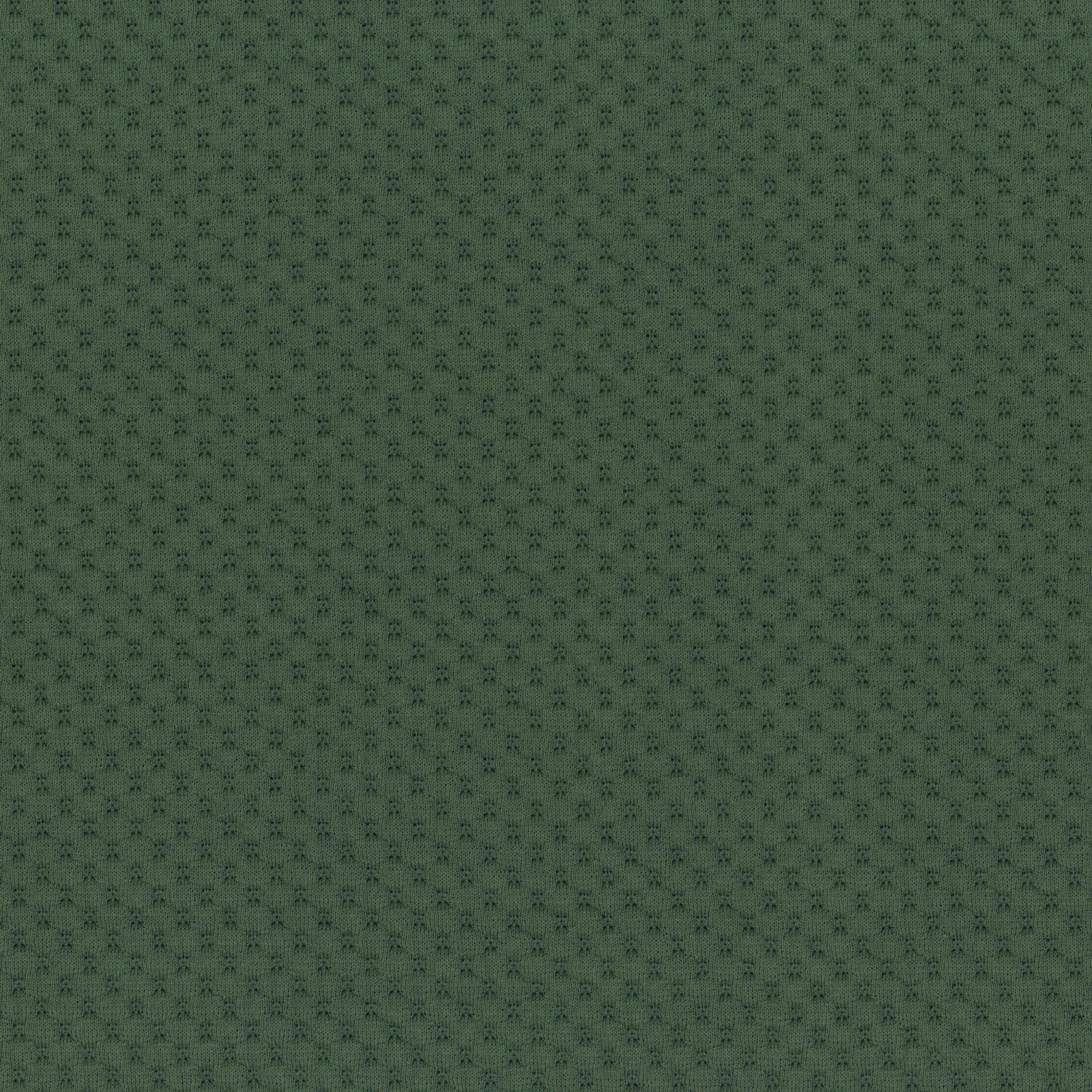 Beetle 55 | Palea