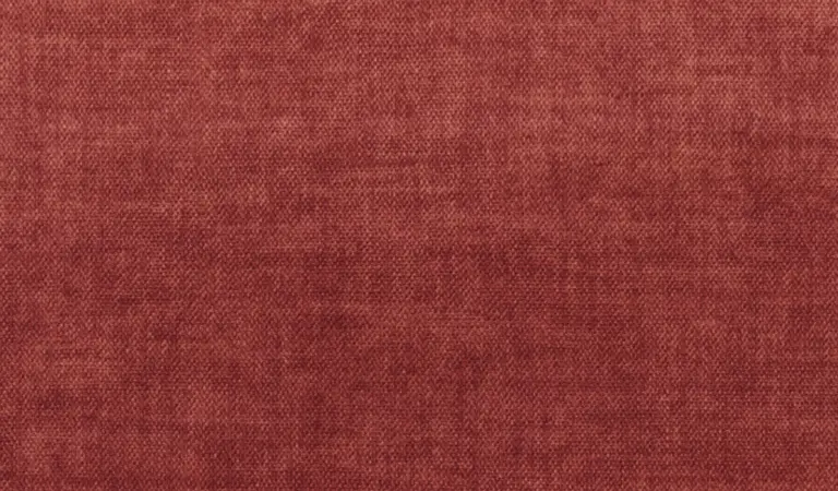 Coral 08