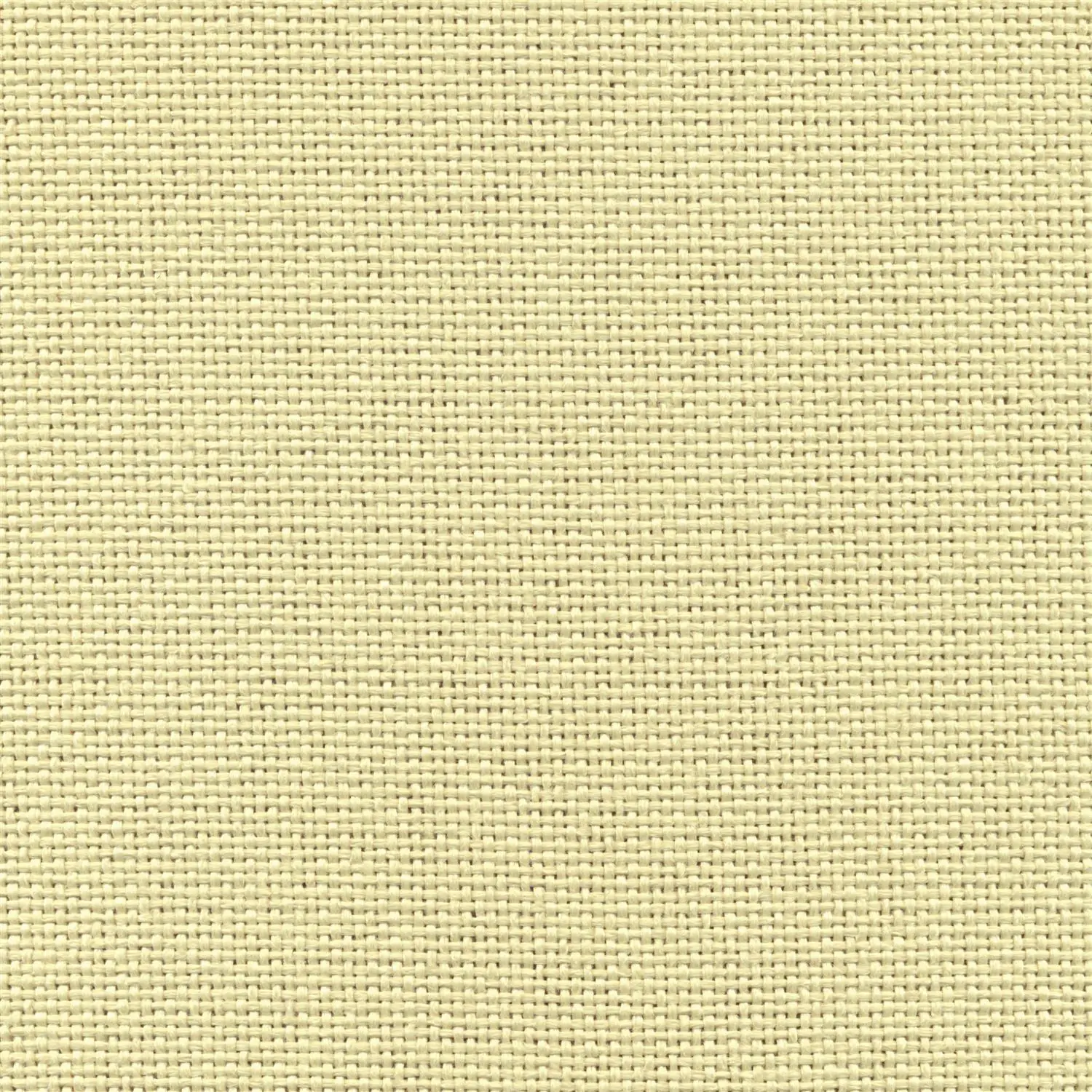 Cotton 04 | Trenza