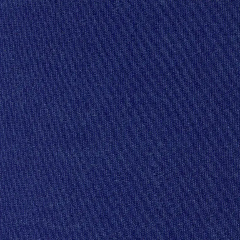 Indigo 49