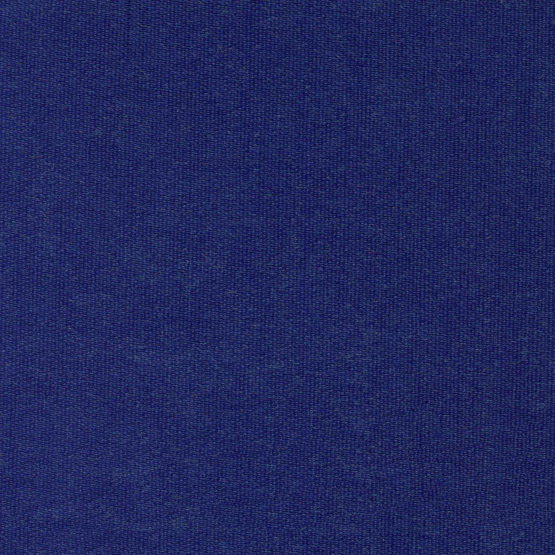 Indigo 49 | Melba