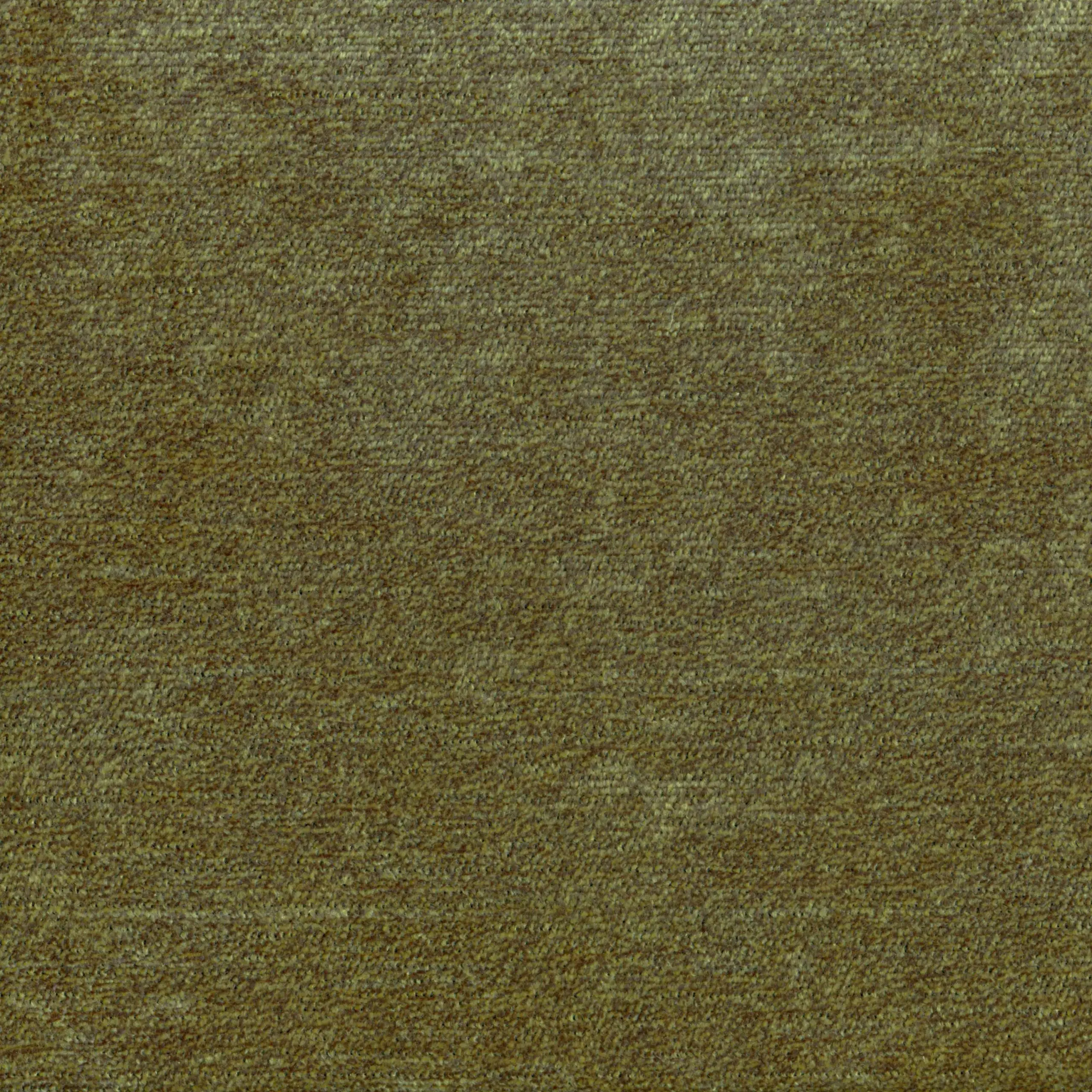 Olive 55 | Zander