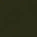Dark Olive 37 | Renard