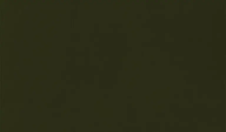 Dark Olive 37