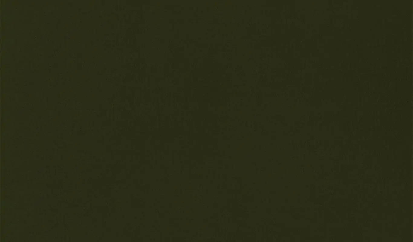Dark Olive 37 | Renard