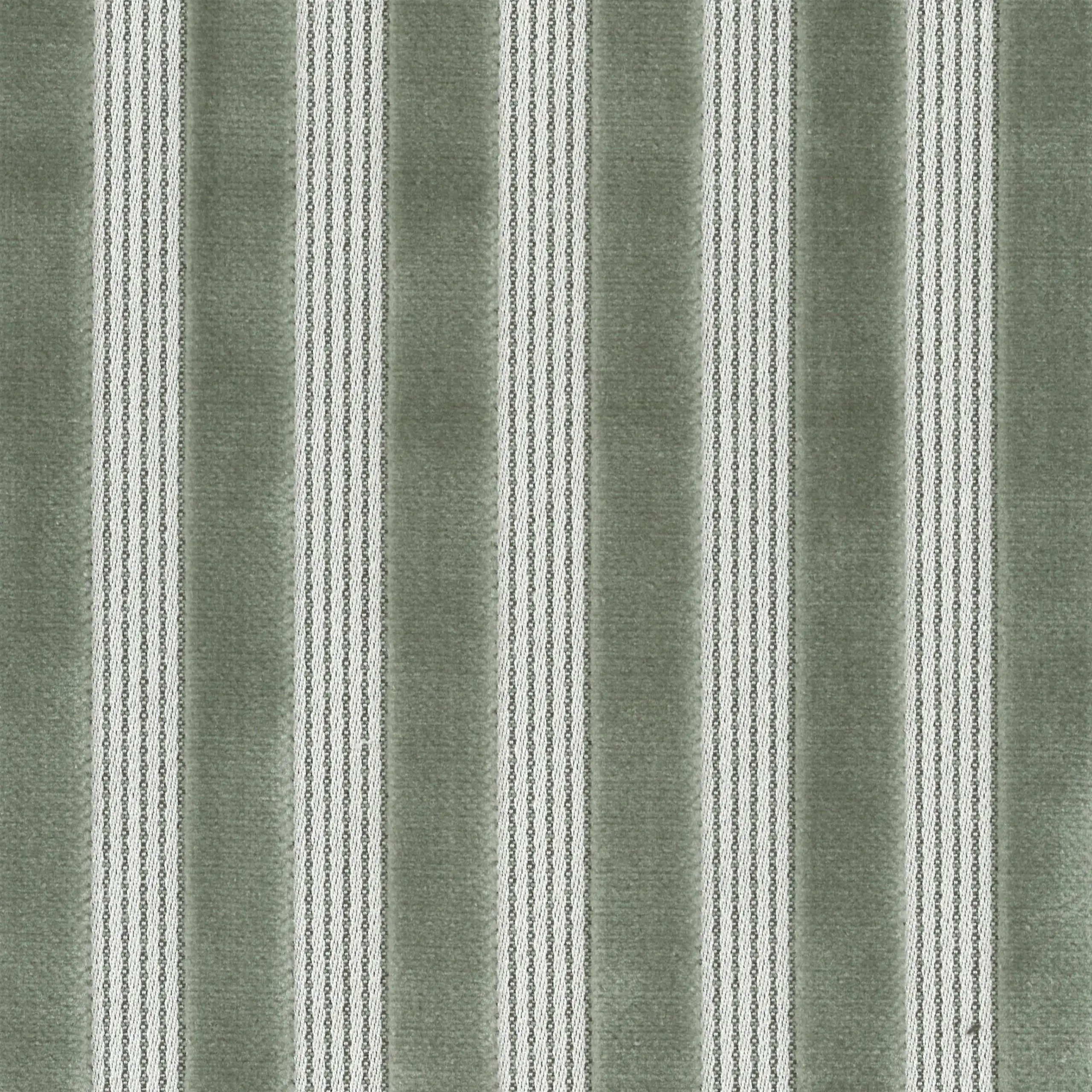 Khaki 03 | Ned