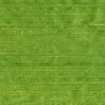 Lime 116 | Jedwab