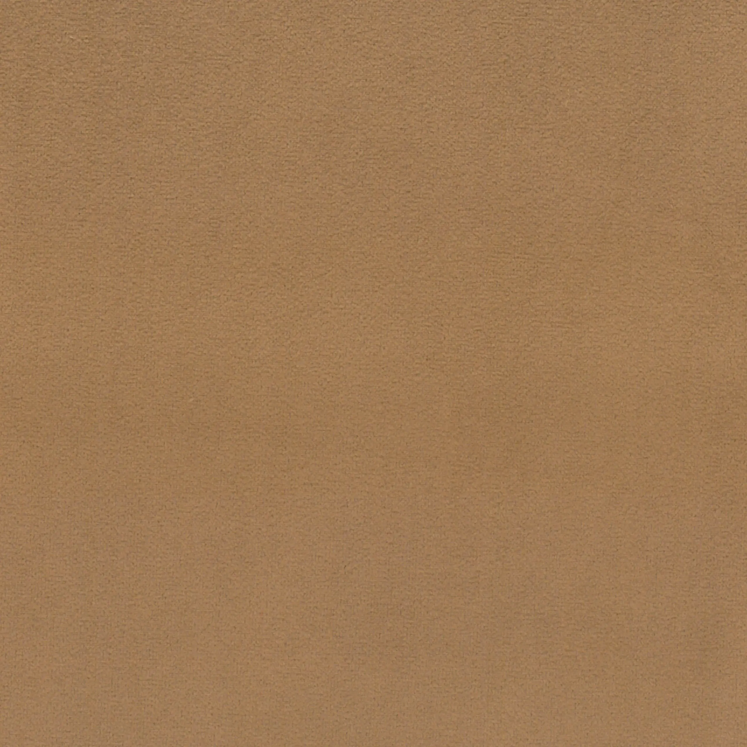 Mocca 29 | Scot