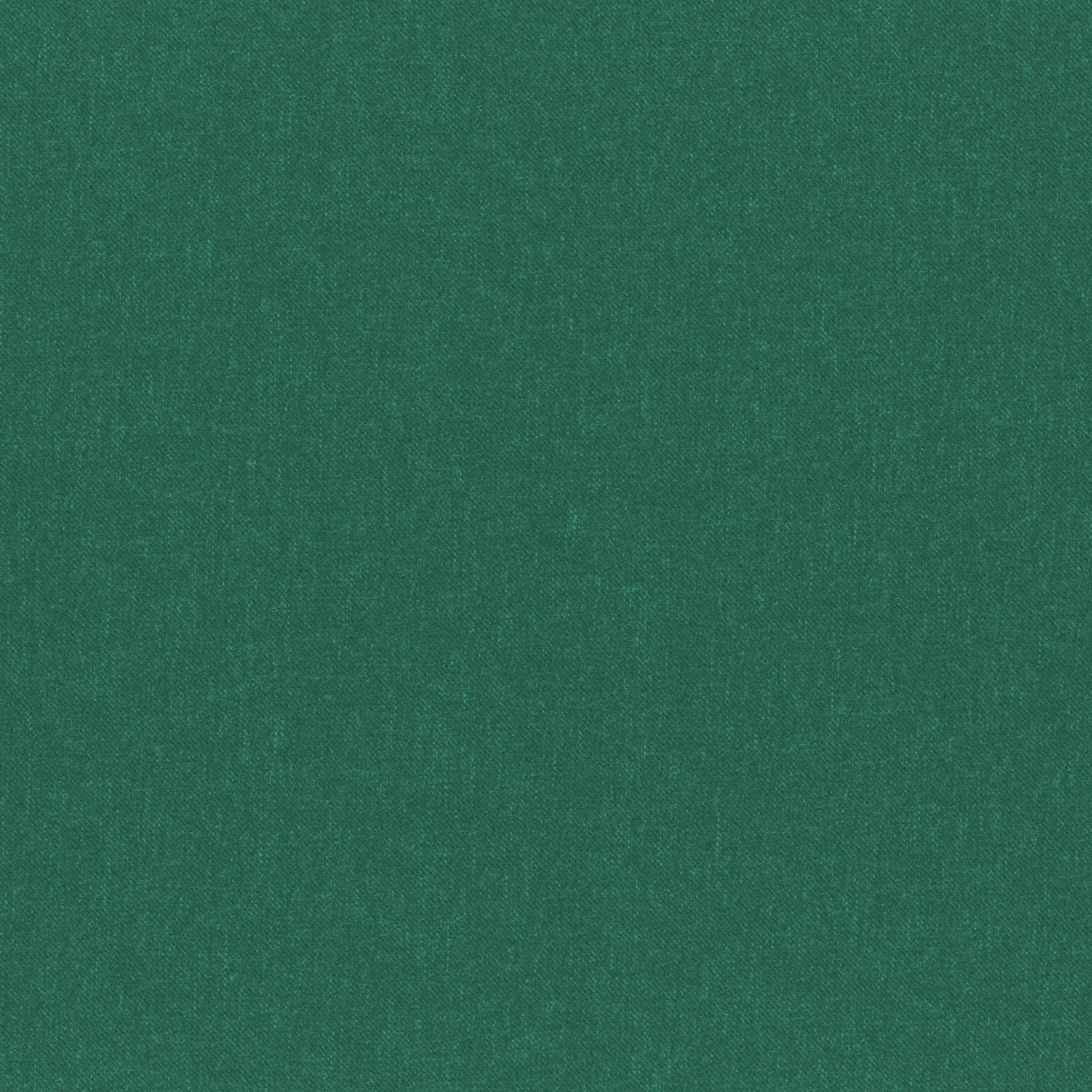 Botanical 23 | Linea