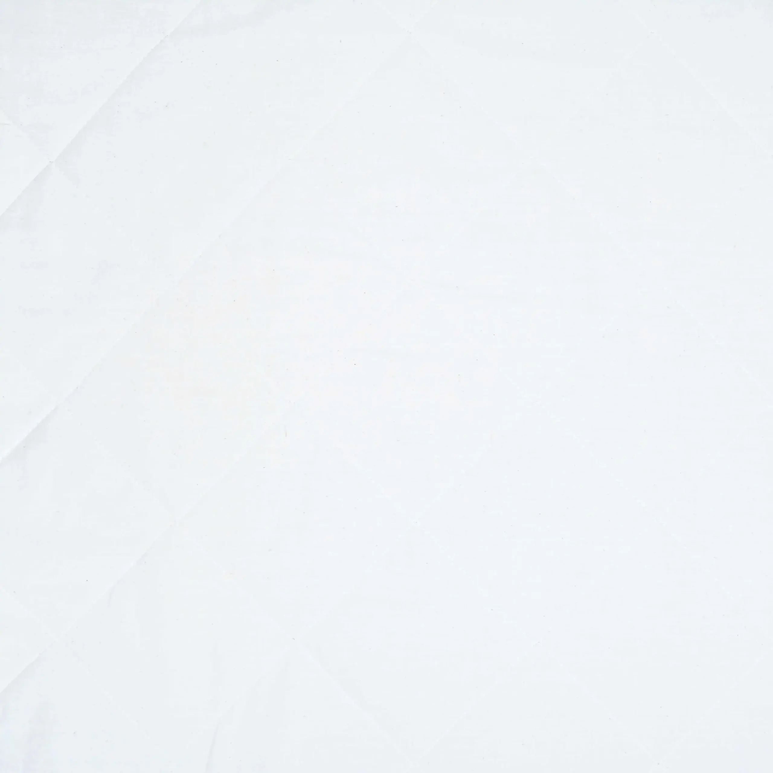White 01 | Quilted 100G