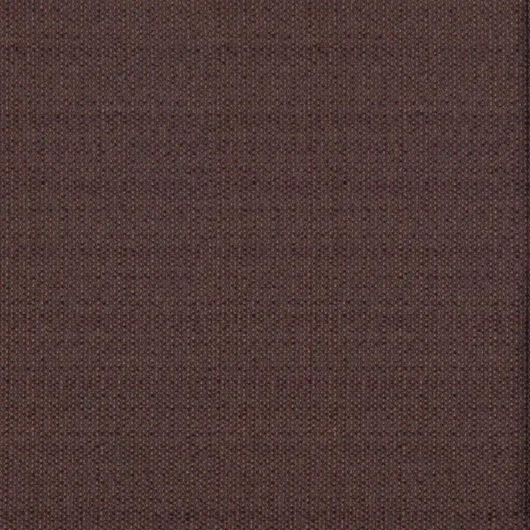 Bison 019