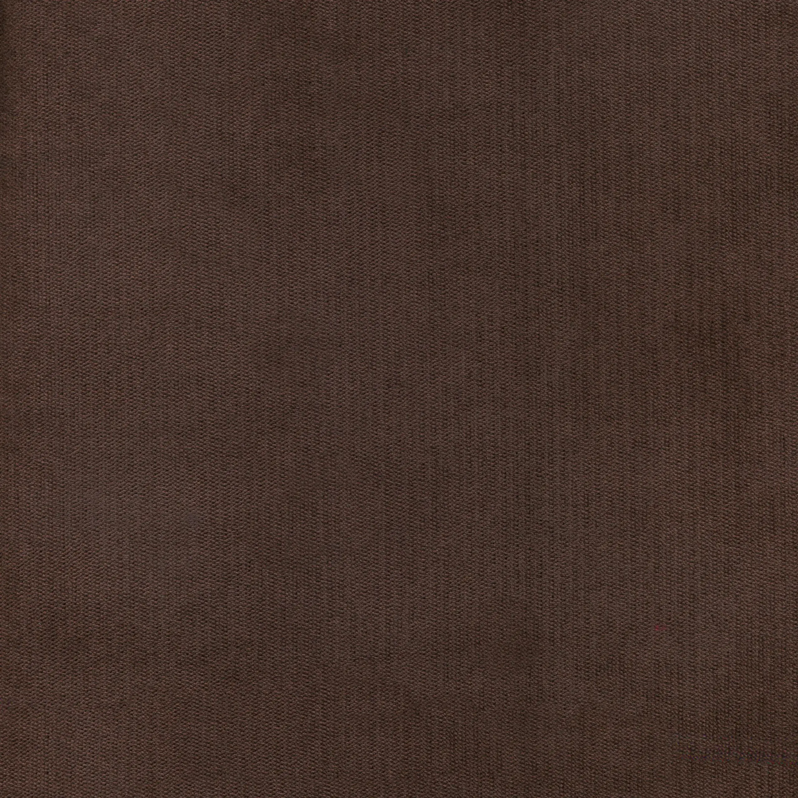 Chocolate 19 | Palmer