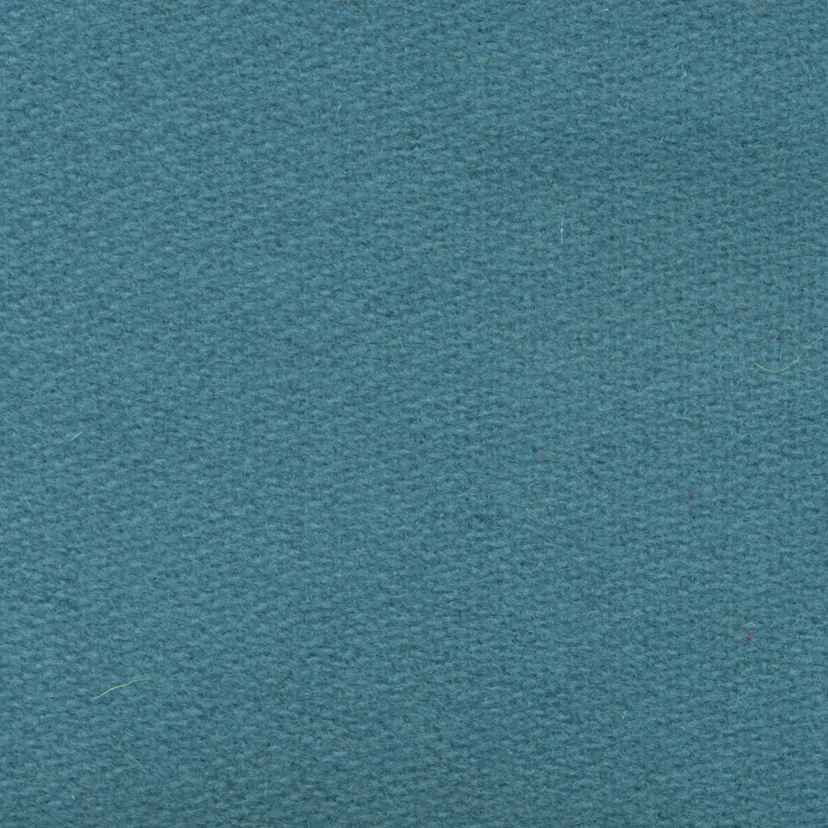 Turquoize H491 | Savoy FR