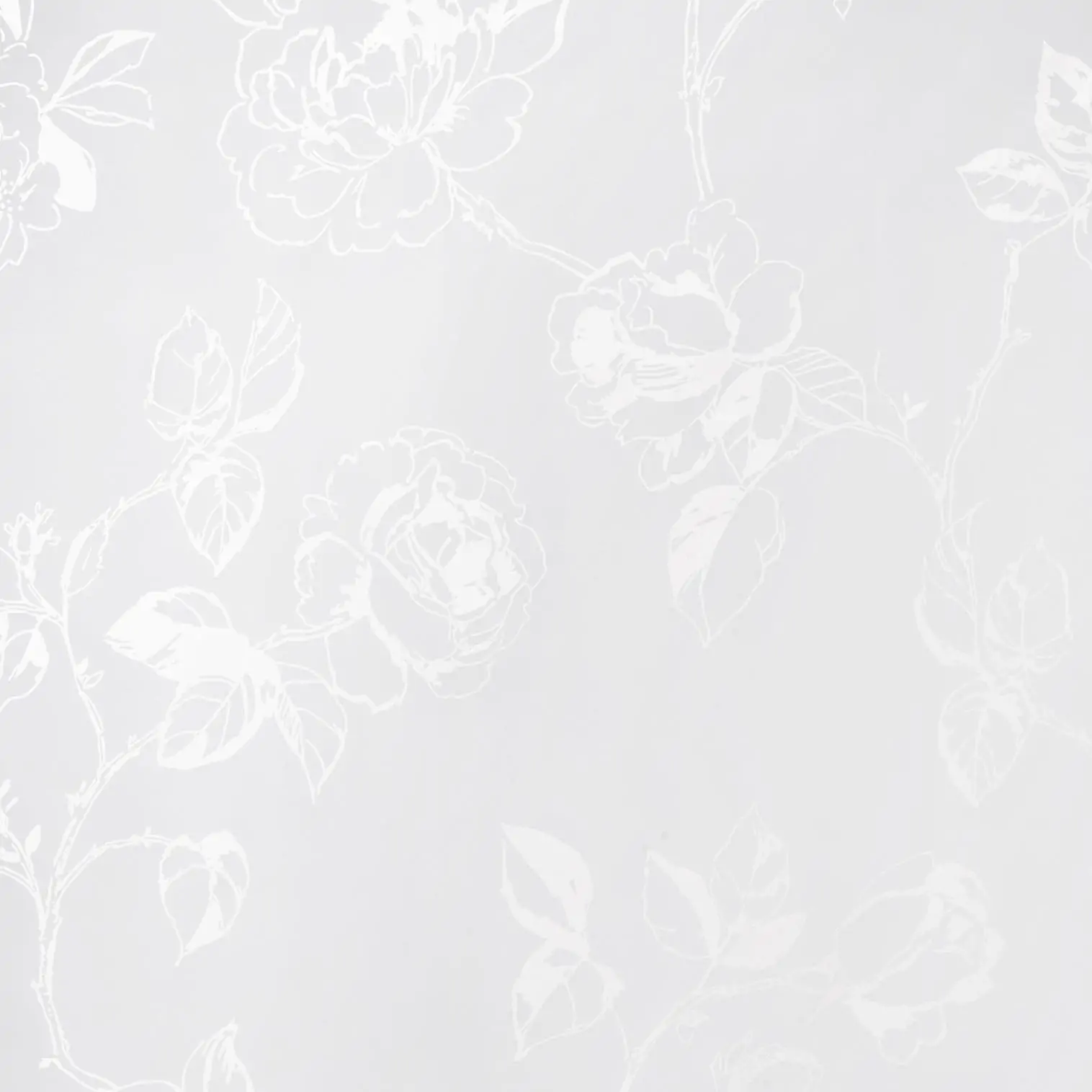 Rosewater 14 | Rana