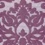 Violet 11 | Madelia
