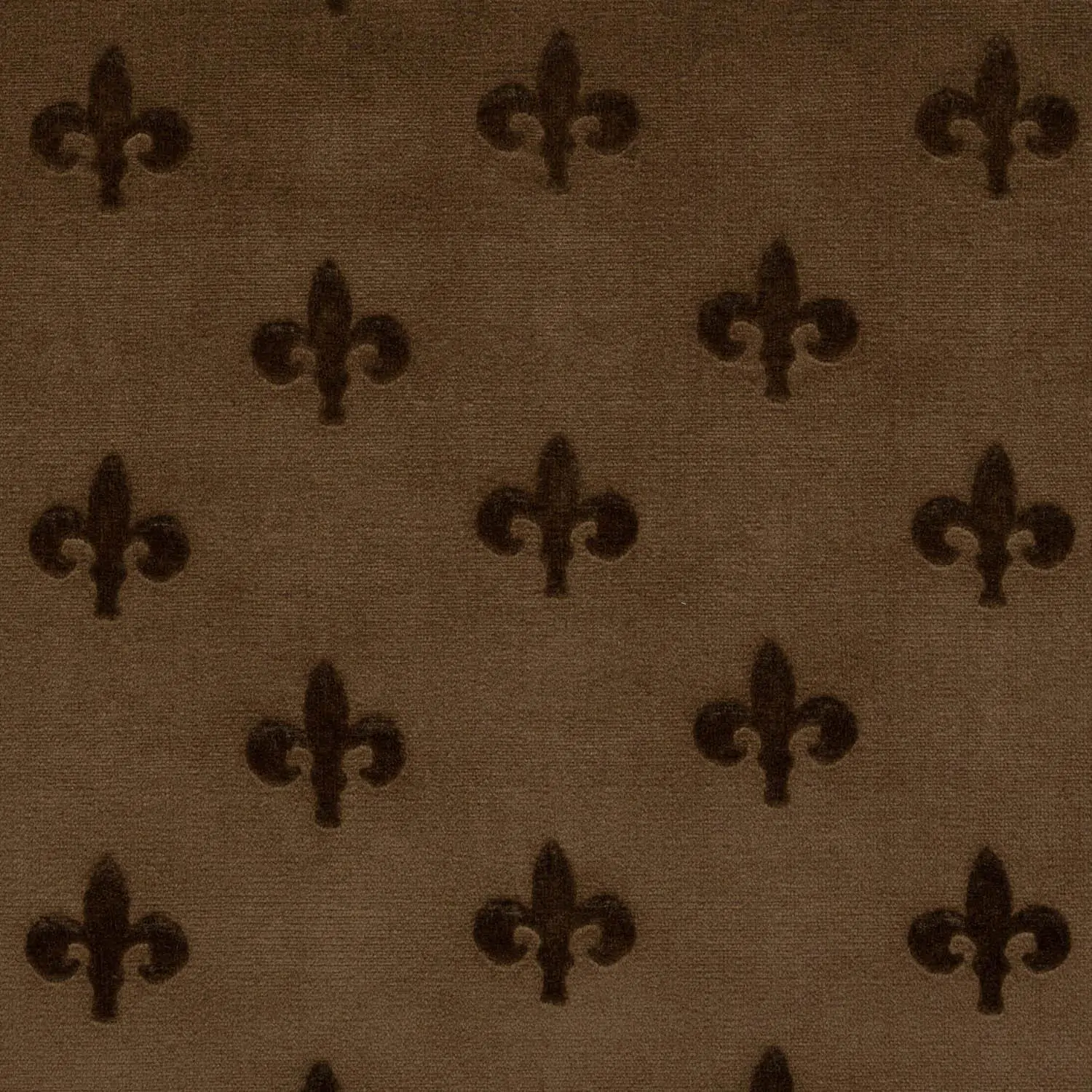 Bear 08 | Sokrates