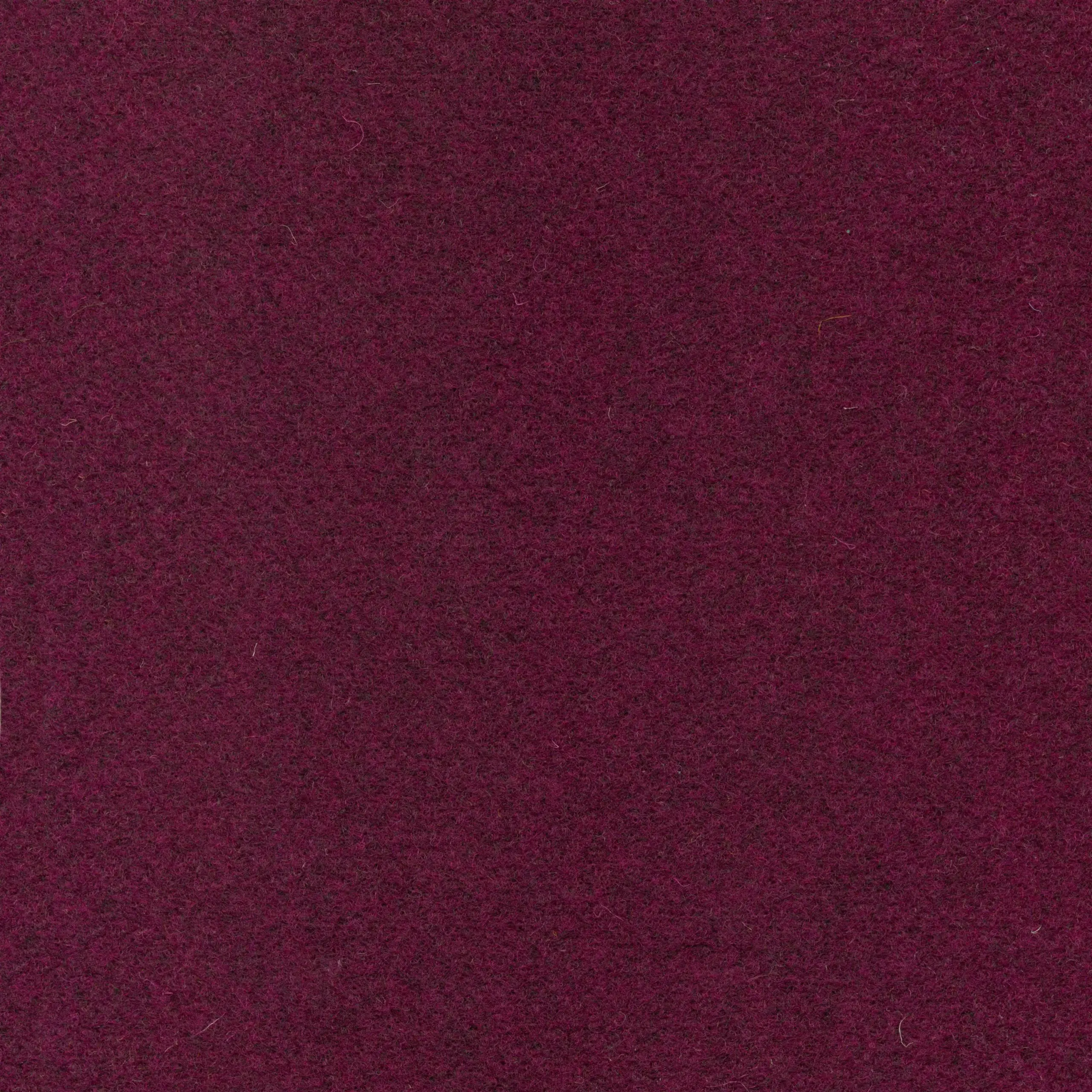 Magenta 602 | Walt