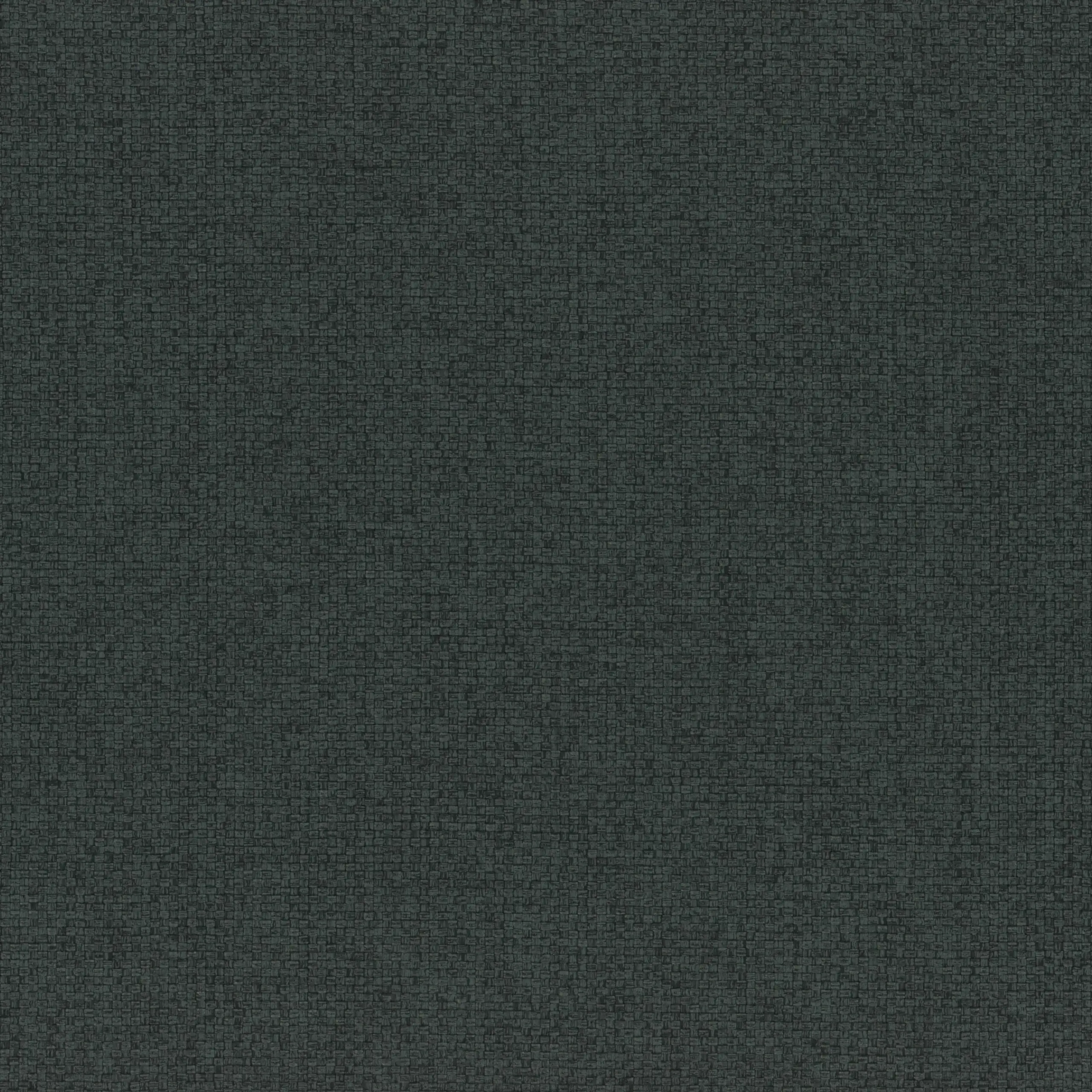 Poppy Seed 67 | Linosa