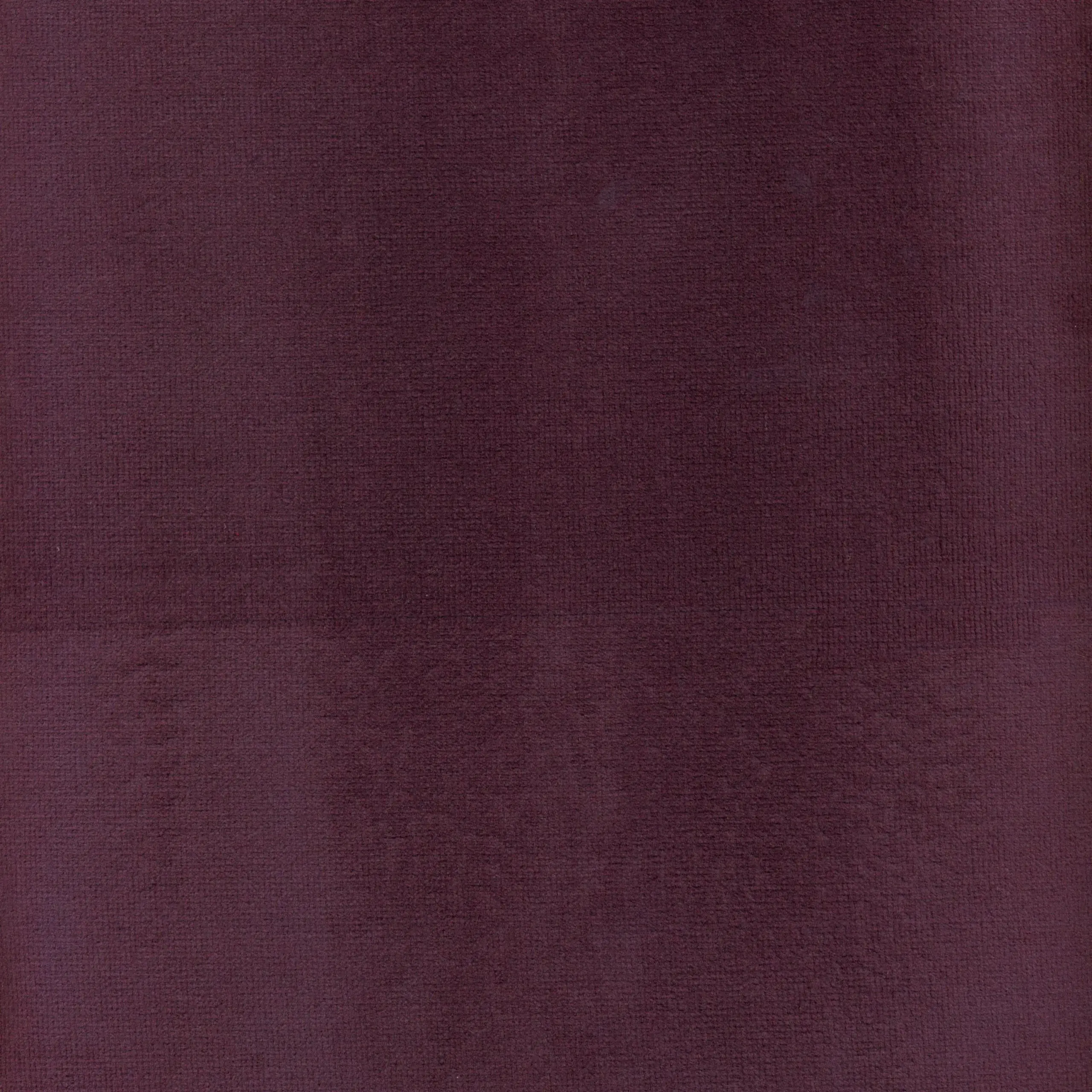 Violet 02 | Yaron
