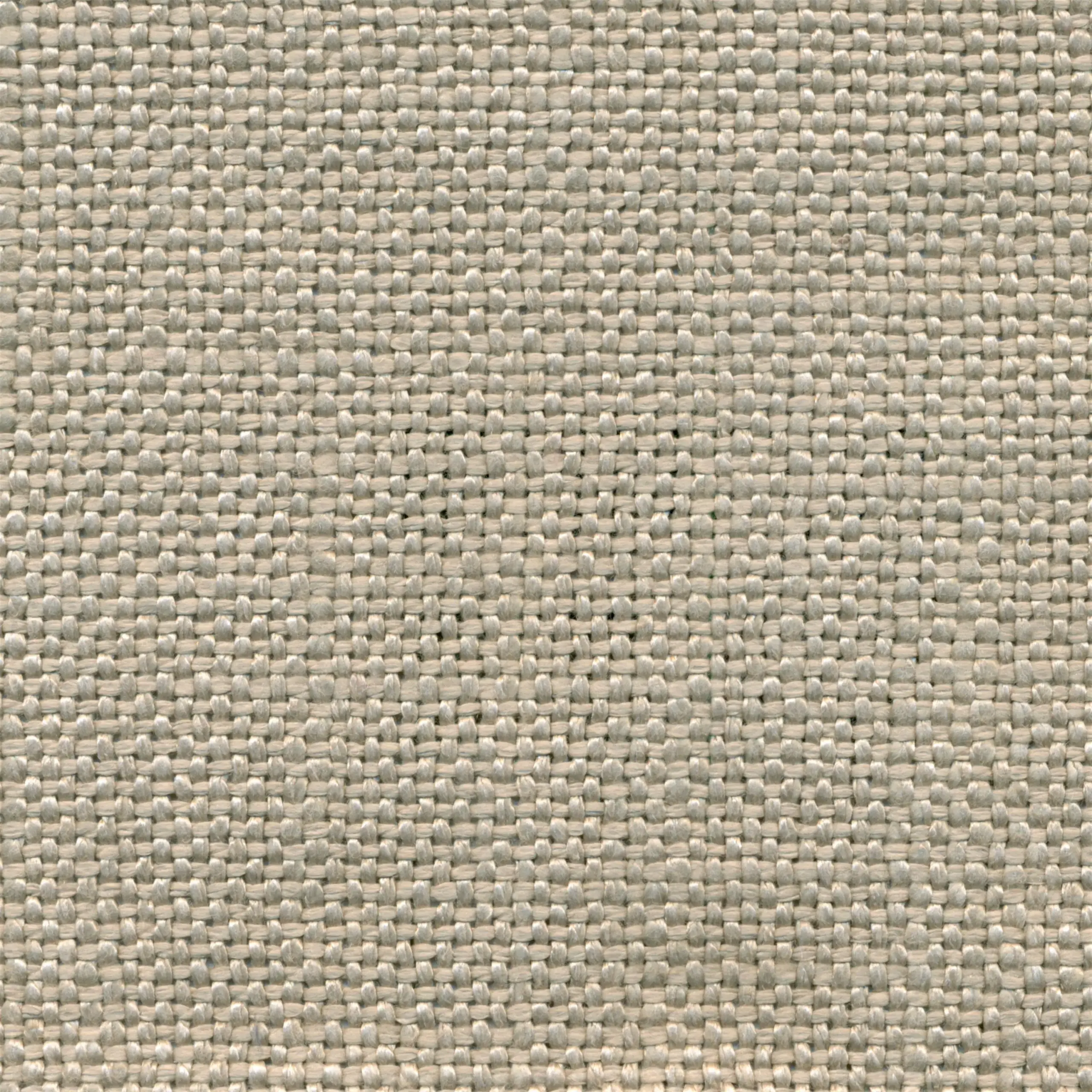 Pelican 8 | Salma