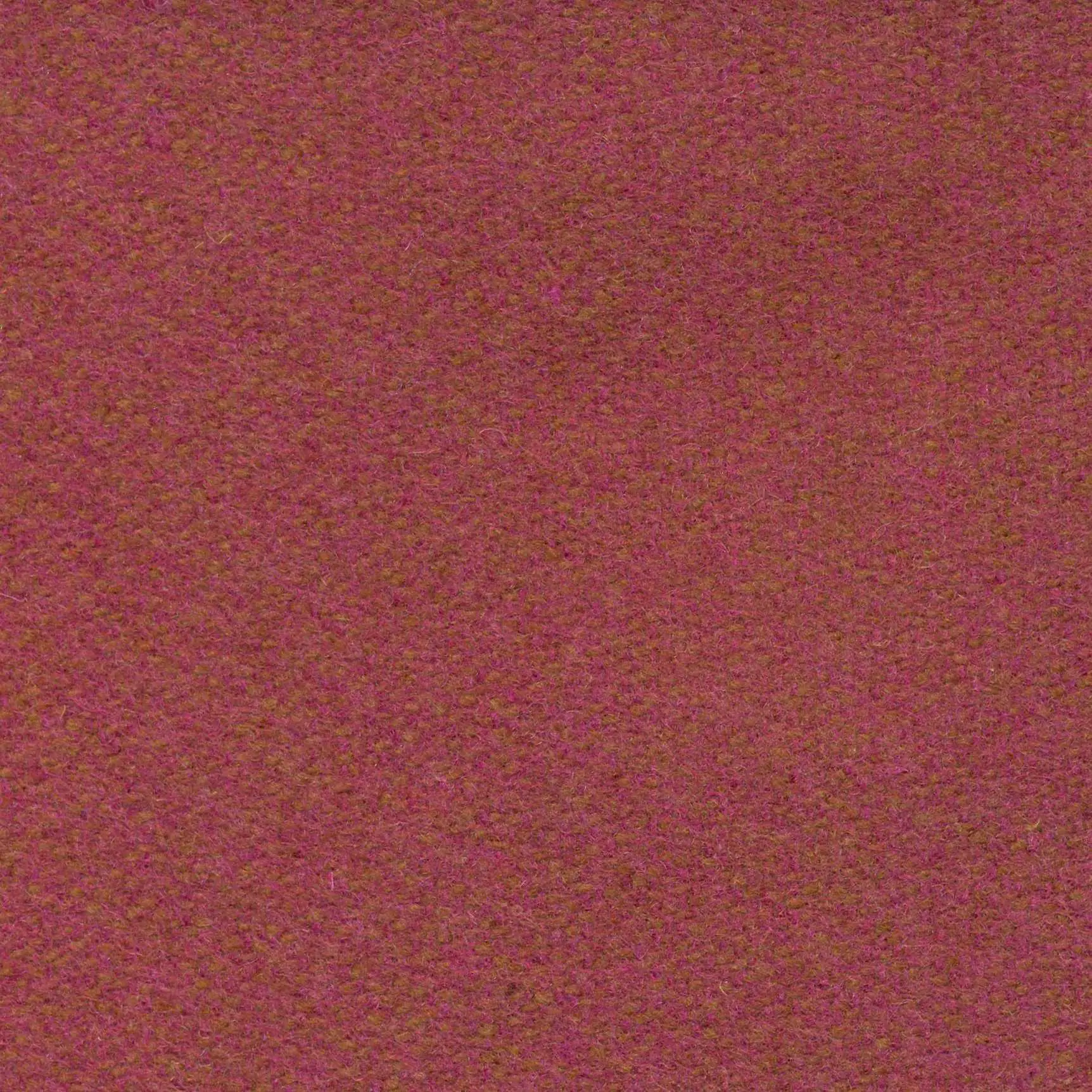 Sangria 545 | Savoy FR