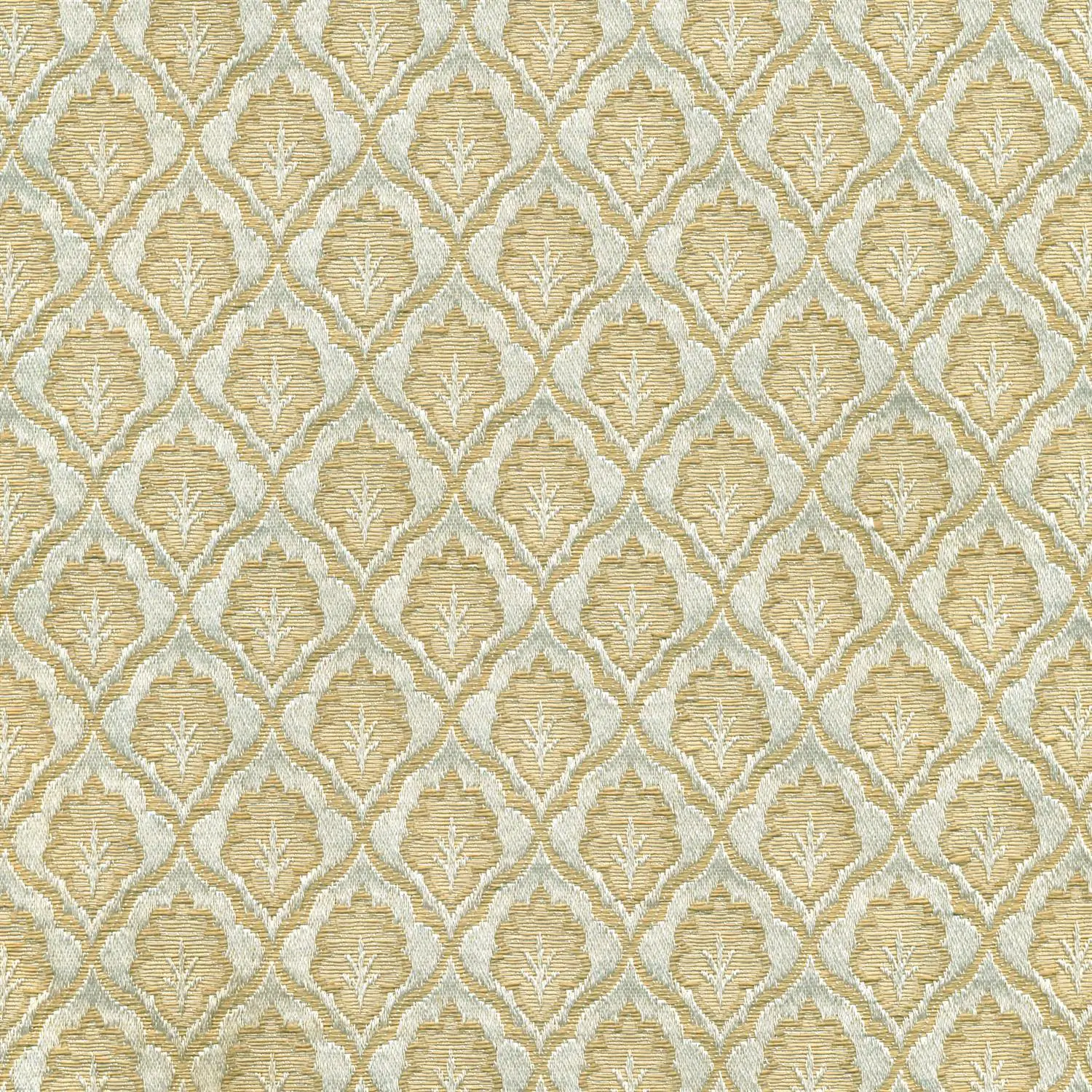 Cream 003 | Scarlatti