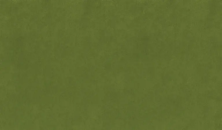 Grass 39