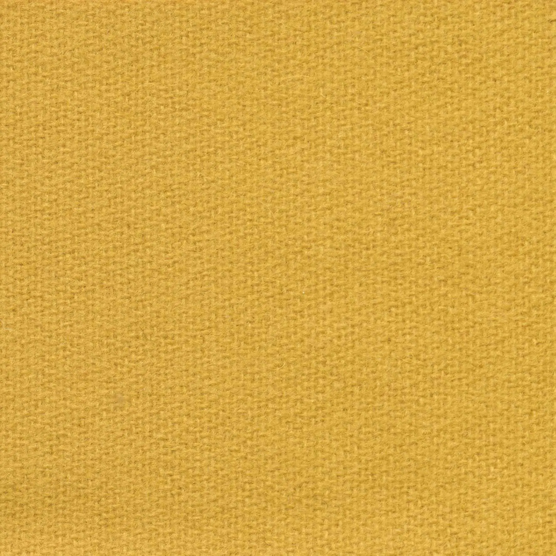 Sunshine H474 | Savoy FR
