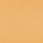Apricot 19 | Rita