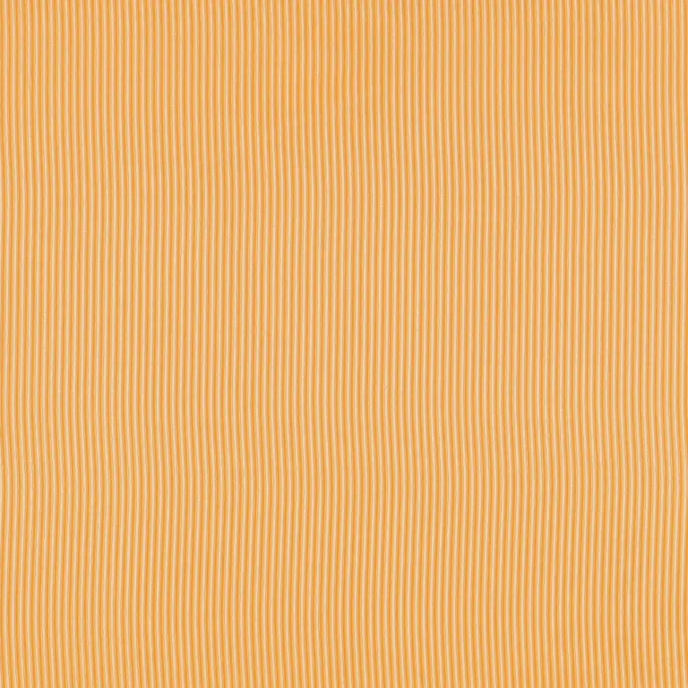 Apricot 19