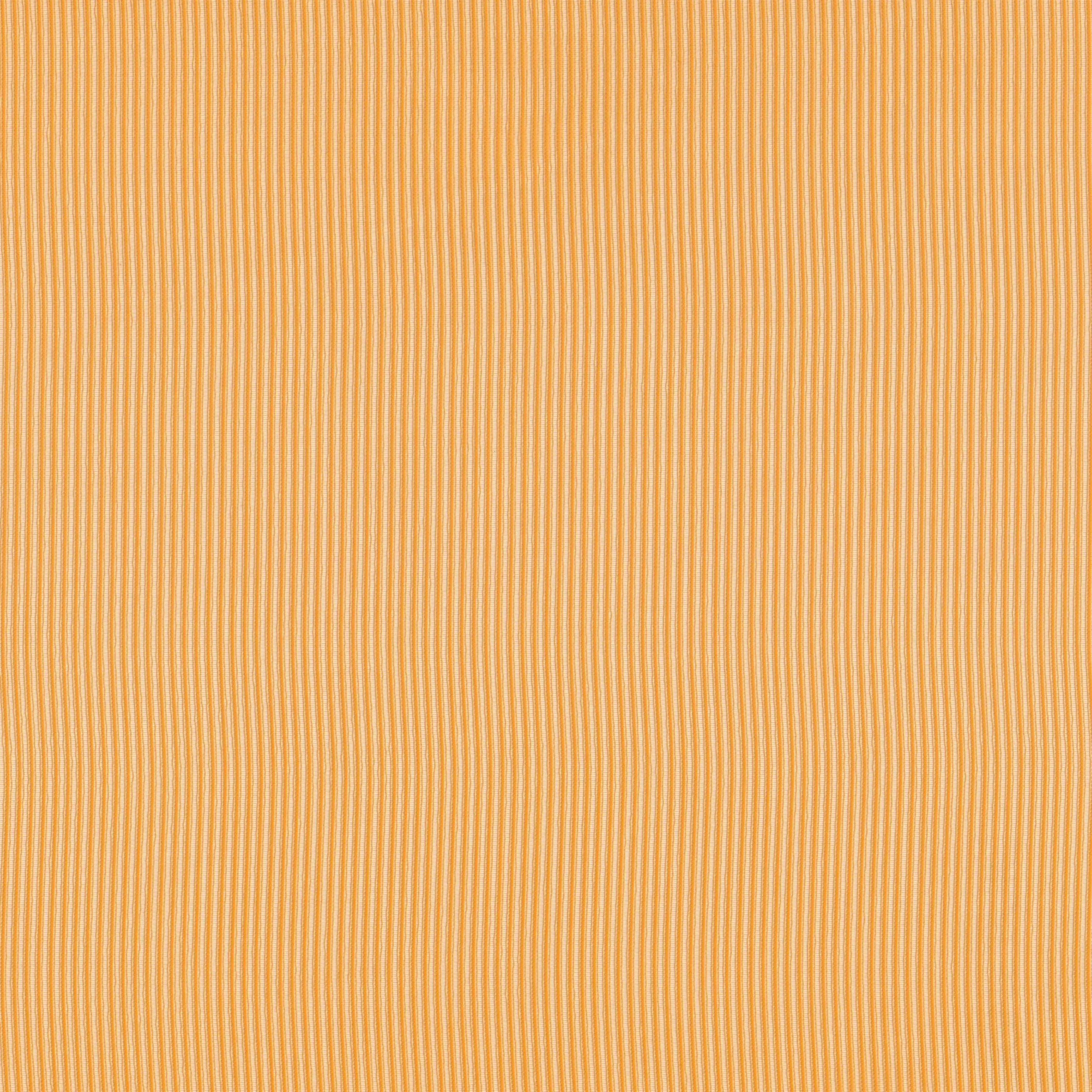 Apricot 19 | Rita