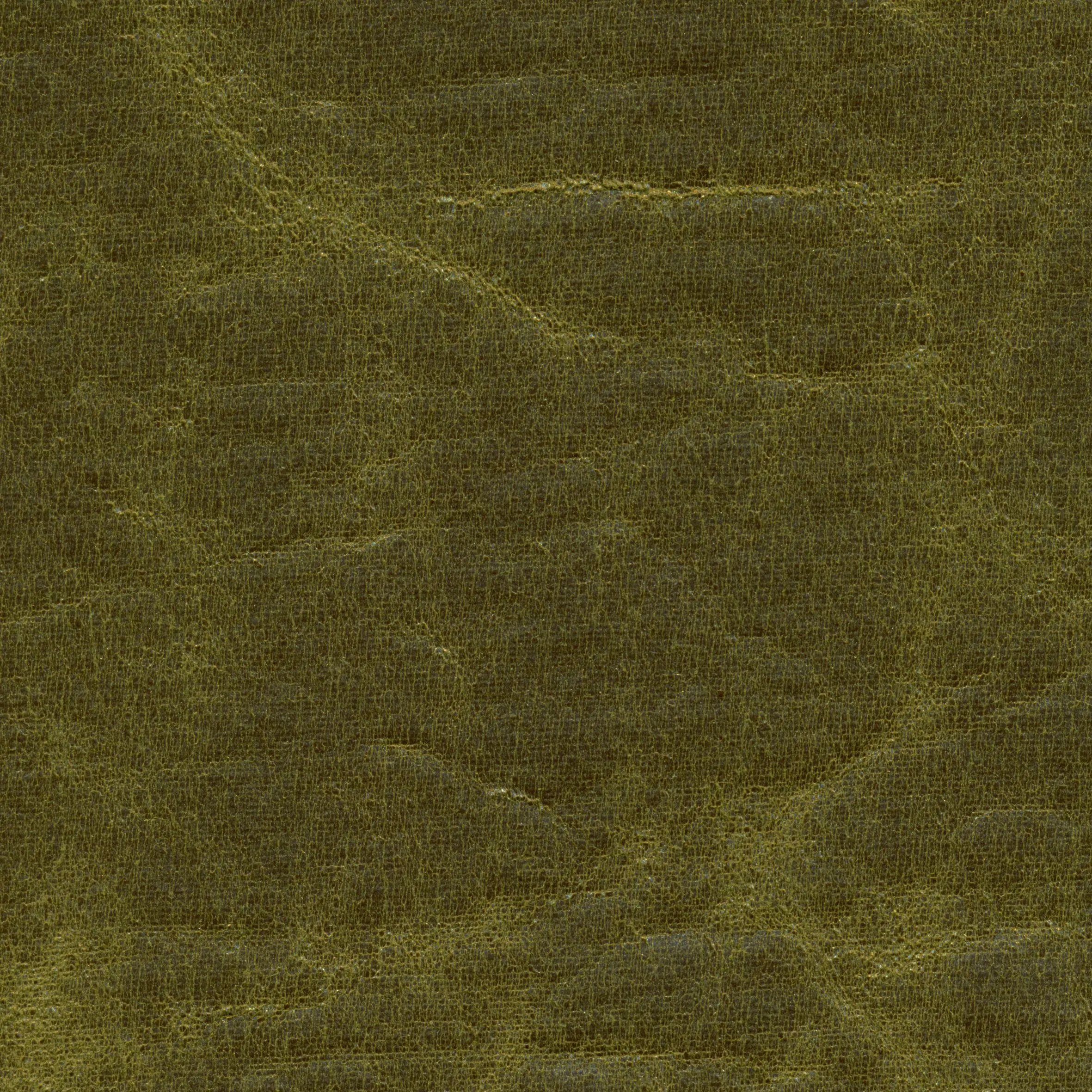 Moss 376 | Underground